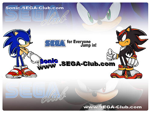 Sonic tippt das www. für sonic. in der sega-club.com Domain nach unten, Shadow ist nicht begeistert!