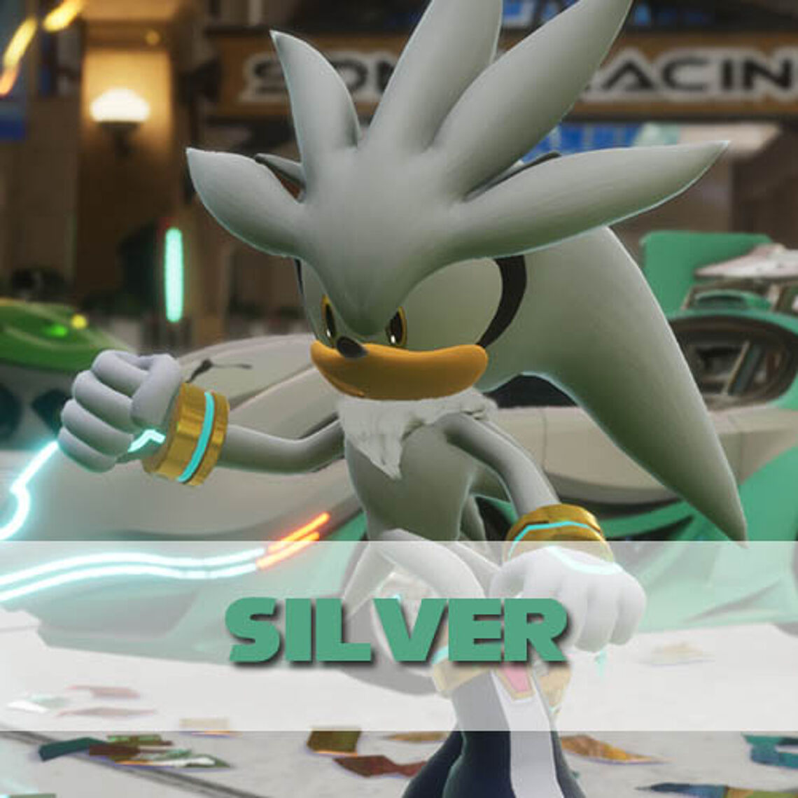 Silver the Hedgehog