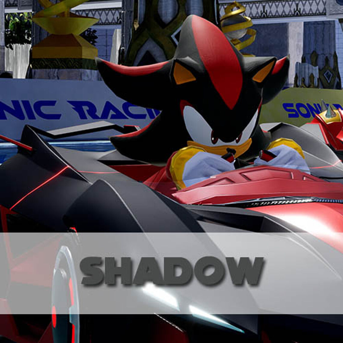 Shadow the Hedgehog