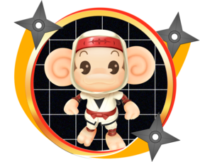 AiAi im Shinobi Kostüm